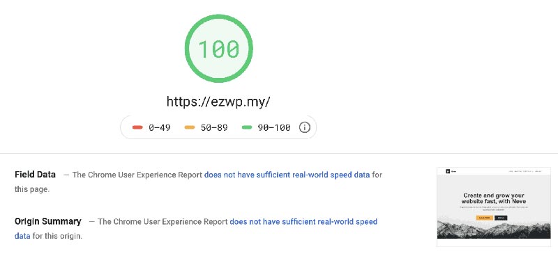 Google Pagespeed Insights 100
