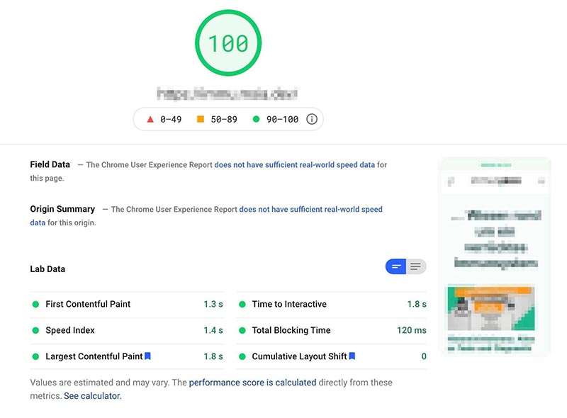 WPbakery to Gutenberg PageSpeed Insights score 100
